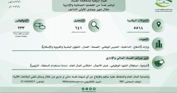 الرقابه والفساد